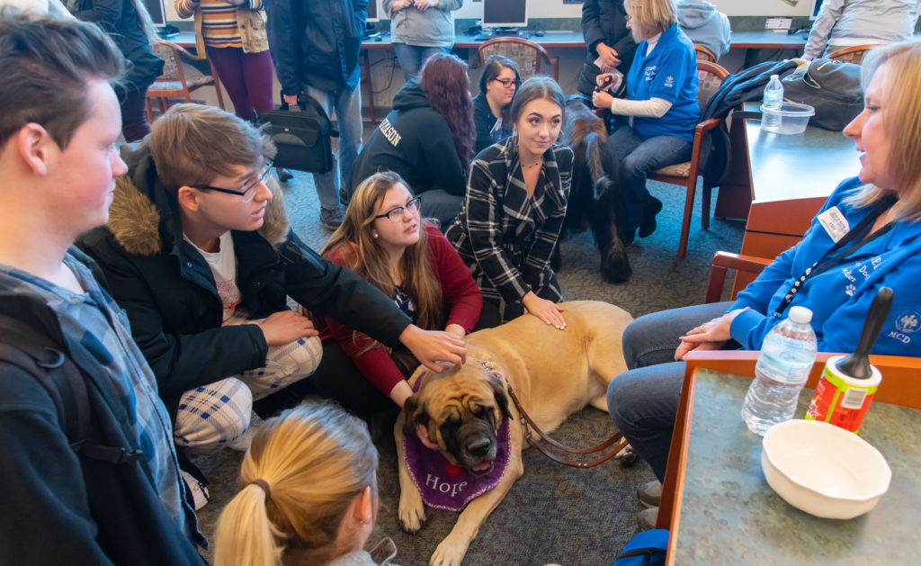 Four SC4 students pet dog during Stress Breaker event.