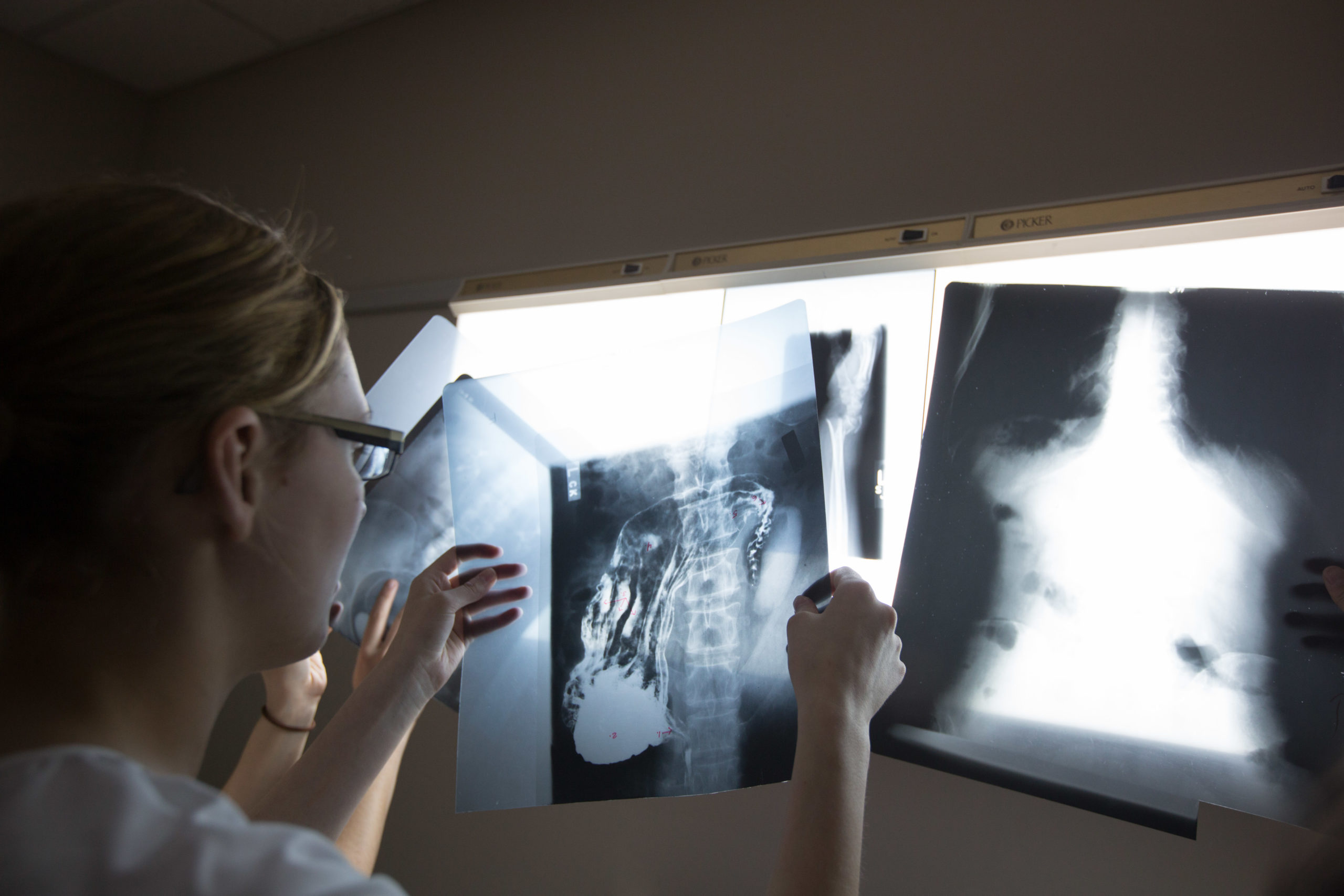 Radtec Student views an x-ray